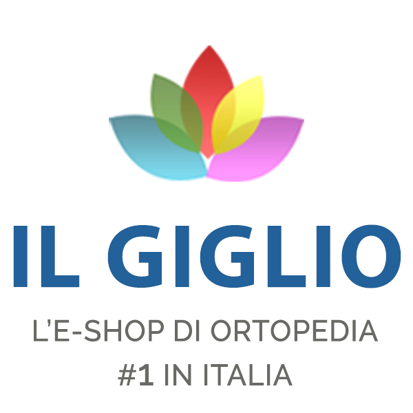 logo Gruppo Giglio SRL